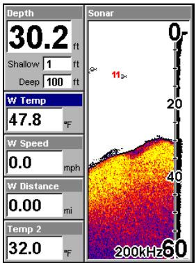 EAGLE FISHELITE 642C IGPS - Personnaliser I'Ecran de Données Numériques - 2