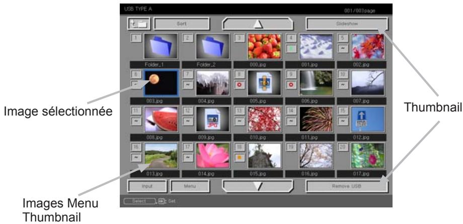 INFOCUS IN5122,  IN5124,  IN5314 - [Formats de fichiers Supportés] - 1