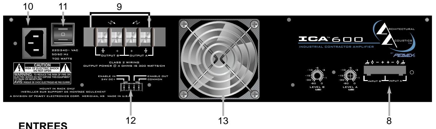 PEAVEY ICA 800V - LED DE PROTECTION - 1