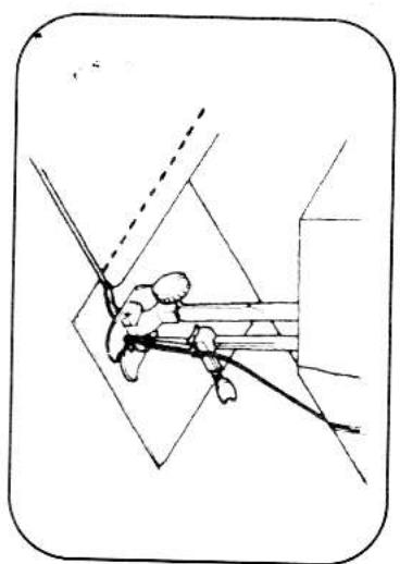 TRIOMPH ETF 947 - FIN D'UNE COUTURE - 1