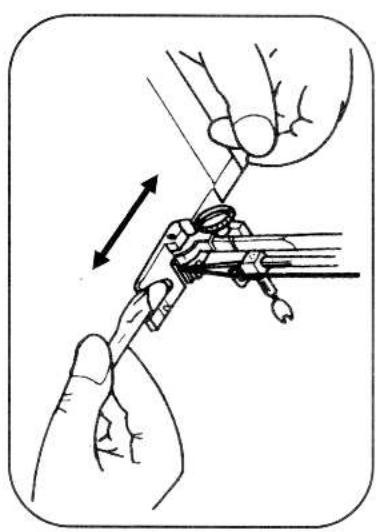 TRIOMPH ETF 947 - COUDRE DES BOUTONNIÈRES - 3