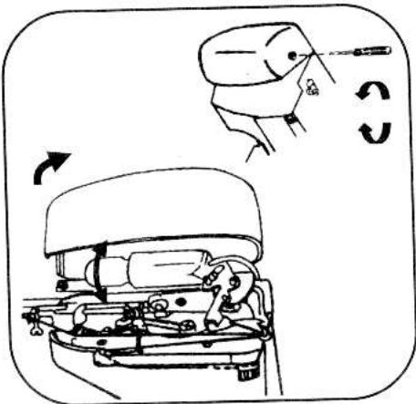 TRIOMPH ETF 947 - ACCESSIONS - 10