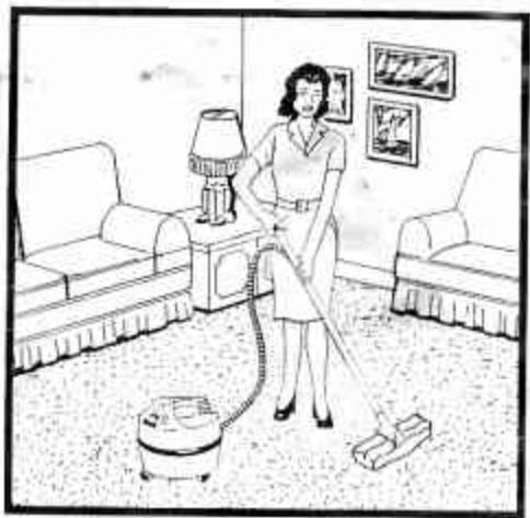 GOBLIN LES VAPORATEURS - NETTOYAGE DES TAPIS - 1