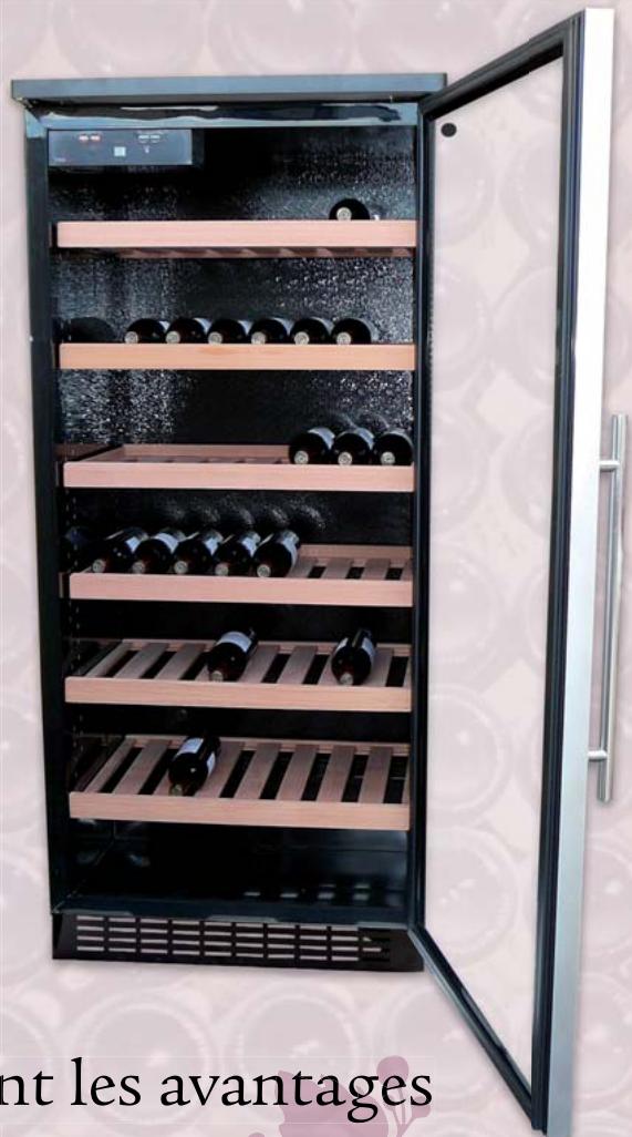 VINILUX VINI 200 VINTAGE - De l'espace pour votre vin.. - 2