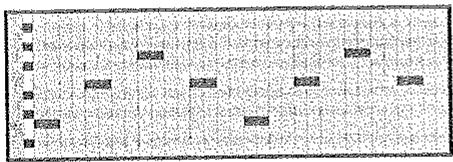 AKAI PRO MPK49 - EDITIONDEARPEGATEUR - 2