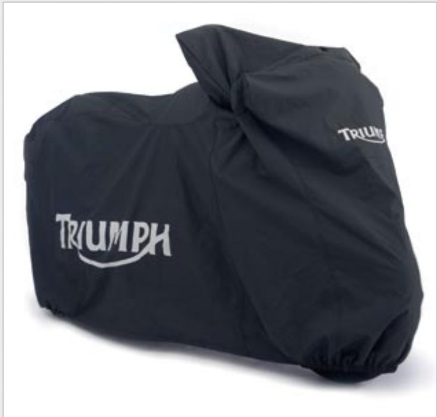 TRIUMPH SPRINT ST - Poignee passager - 3