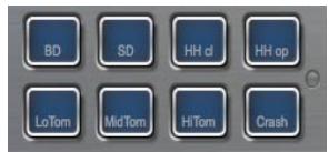 STEINBERG HALION SONIC - Trigger pads - 1