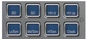 STEINBERG HALION SONIC - Pads de déclenchement - 1