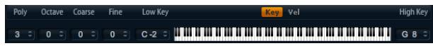 STEINBERG HALION SONIC - Tastaturbereich (Low Key, High Key) - 1
