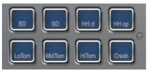 STEINBERG HALION SONIC - Trigger Pads - 1