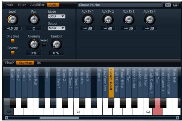 STEINBERG HALION SONIC - Enveloppe d'amplificateur - 1
