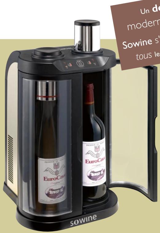 ARTEVINO SOWINE - Deux bouteilles à température idéale de dégustation - 1