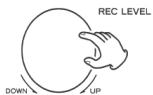 ION CD DIRECT - REGISTRAZIONE - 2
