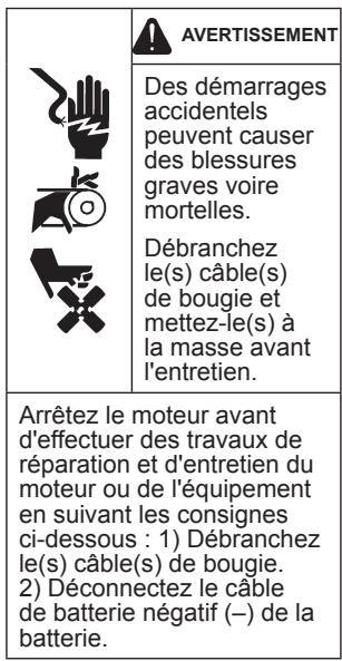 KOHLER CH 395 - Consignes de sécurité - 3