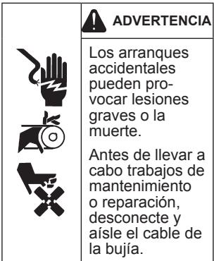 KOHLER CH 395 - Precauciones de seguridad - 3