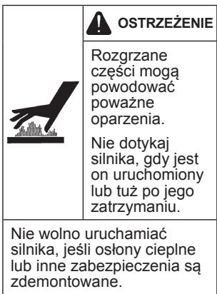KOHLER CH 395 - Środki ostrożnosci - 6