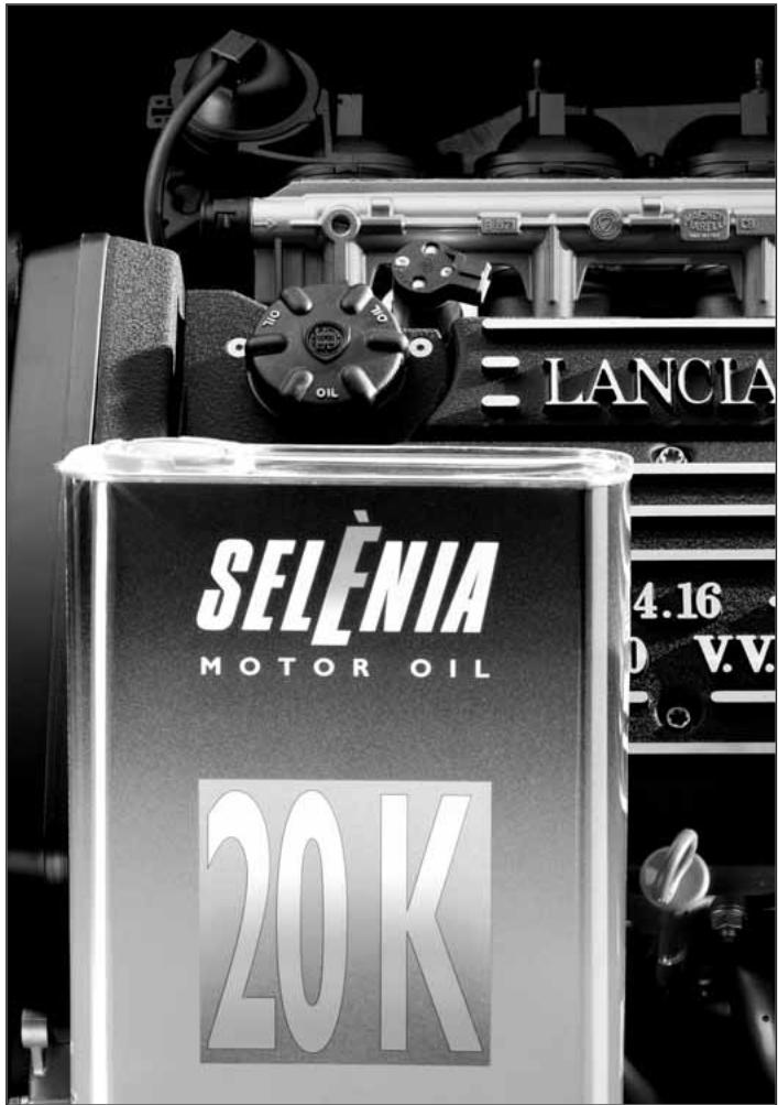 LANCIA Y - Les experts conseillent selenia. - 1