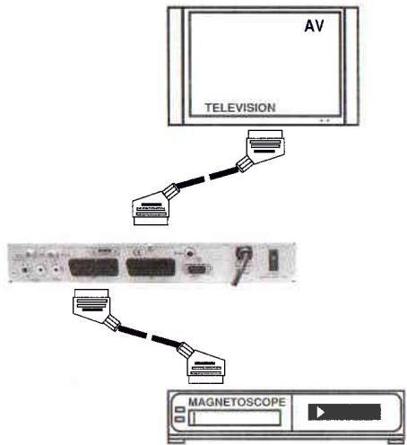 VISIONIC SLIM 3 - Raccordement à votre magnétoscope : - 1