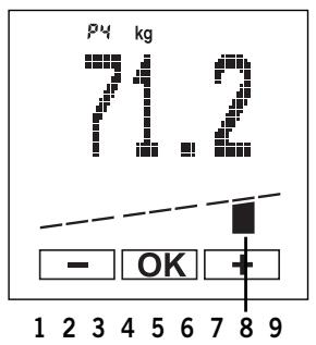 SOEHNLE BODY BALANCE COMFORT F5 - Recommendation individuelle - 1