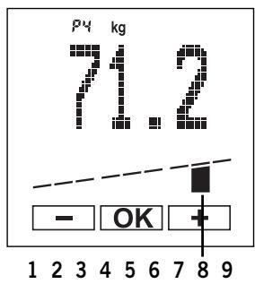 SOEHNLE BODY BALANCE COMFORT F5 - Individual recommendation - 1