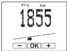 SOEHNLE BODY BALANCE COMFORT F5 - Introdução de dados - 11