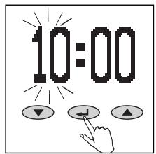 SOEHNLE BODY BALANCE COMFORT F5 - Introduzione - 3