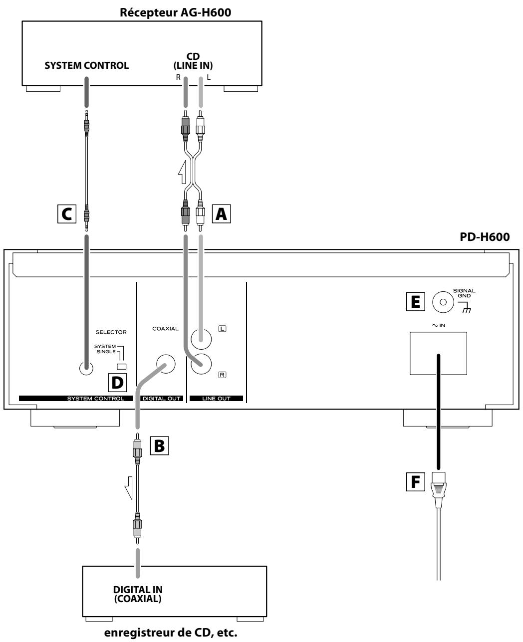 TEAC PD-H600 - Précautions à observer concernant les piles - 1