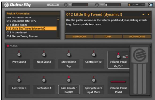 NATIVE INSTRUMENTS GUITAR RIG 3 - Affichage Live ("Live View") - 1