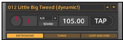 NATIVE INSTRUMENTS GUITAR RIG 3 - Affichage Live ("Live View") - 2