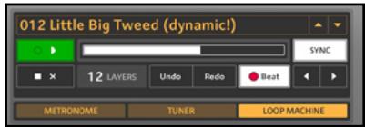 NATIVE INSTRUMENTS GUITAR RIG 3 - Affichage Live ("Live View") - 5