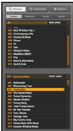 NATIVE INSTRUMENTS GUITAR RIG 3 - Sidekick - 1