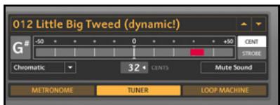 NATIVE INSTRUMENTS GUITAR RIG 3 - Affichage Live ("Live View") - 3