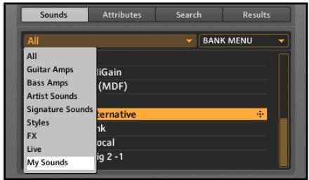 NATIVE INSTRUMENTS GUITAR RIG 3 - Catégories, Banques et Sons - 3