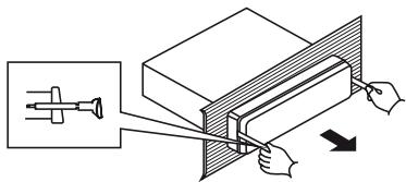 DUAL DAB CAR 1 - Montaggio frontale - 2