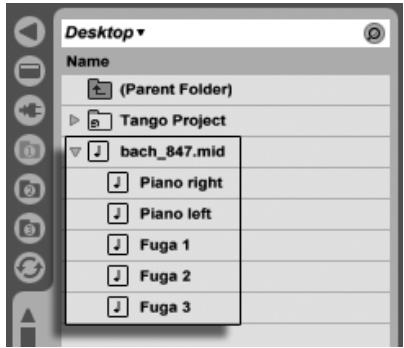 ABLETON LIVE 8 - Fichiers MIDI - 1