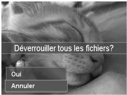 AGFAPHOTO OPTIMA 105 - Pour protéger tous les fichiers : - 2