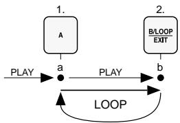 IMG STAGE LINE CD-290DJ - Determination et lecture d'une boucle continue sur des CDs audio* - 1