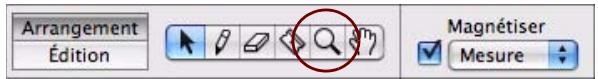 PROPELLERHEAD RECORD 1.5 - Outil Loupe - 1