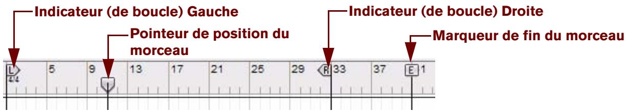 PROPELLERHEAD RECORD 1.5 - Détails de la règle - 1
