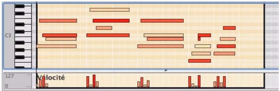 PROPELLERHEAD RECORD 1.5 - Édition manuelle de la velocité des notes - 1