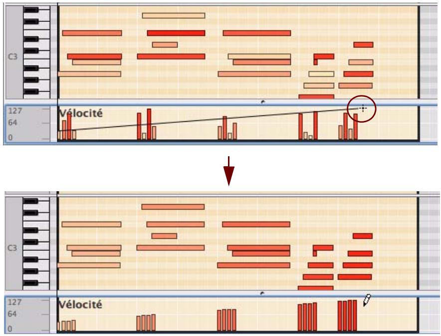 PROPELLERHEAD RECORD 1.5 - Édition manuelle de la velocité des notes - 2
