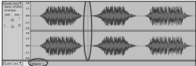 ION AUDIO AUDACITY - Cóme dividir suálbummanualmente: - 2