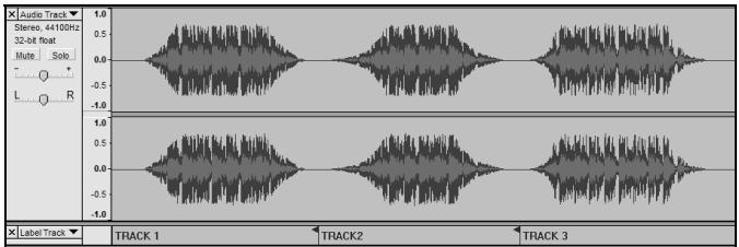 ION AUDIO AUDACITY - Cóme dividir suálbummanualmente: - 3