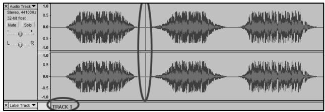 ION AUDIO AUDACITY - Diviser l'album automatiquement : - 4