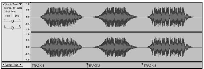 ION AUDIO AUDACITY - Suddivisione manuale dell'album: - 1