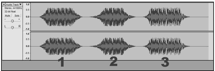 ION AUDIO AUDACITY - Istruzioni: - 3