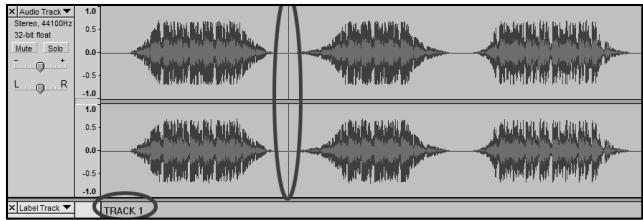 ION AUDIO AUDACITY - Manually Dividing Your Album: - 2