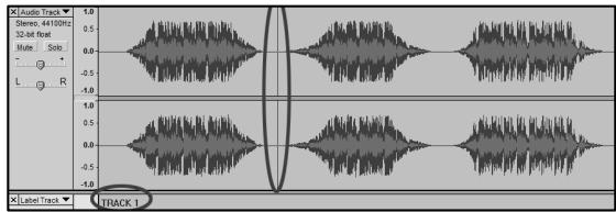 ION AUDIO AUDACITY - Manuelles Unterverilen der Tracks Ihres Albums: - 2