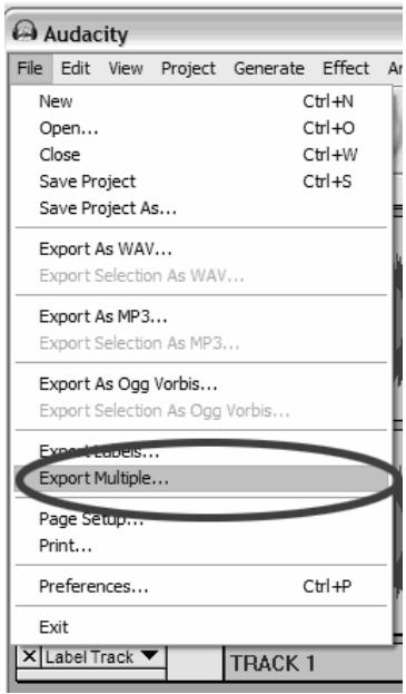 ION AUDIO AUDACITY - TITEL IN EINZELNE DATEIEN EXPORTIEREN - 1