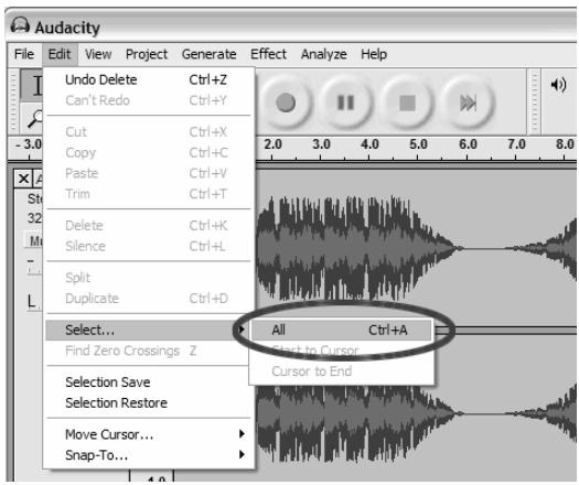 ION AUDIO AUDACITY - EINSTellen DES AUDIOEGELS (OPTIONAL) - 1